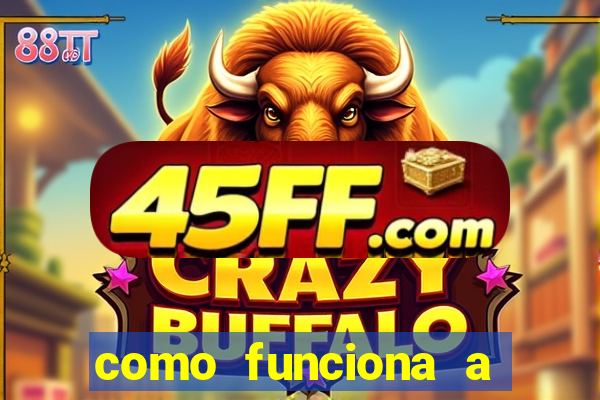 como funciona a quina de grupo no jogo do bicho